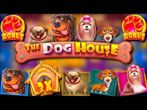 Видео: ПОКУПАЮ ДОРОГИЕ БОНУСКИ В РАЗНЫХ ДОГХАУСАХ !!! БОНУСКА ALL IN В The Dog House Megaways !! ЗАНОС???