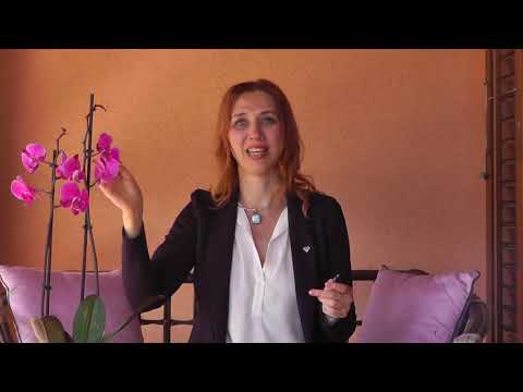 Видео: Техника сжигания семян "4 Силы"