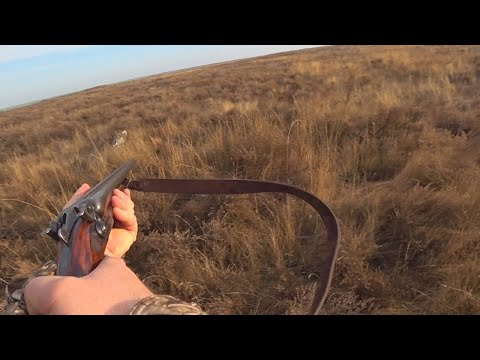 Видео: Коллективная охота на зайца 2022. СУПЕР шустрый заяц!!!