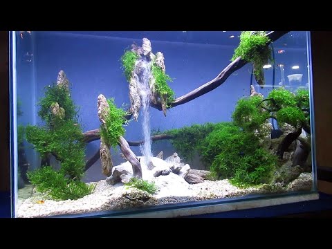 Видео: АКВАСКЕЙП ВОДОПАД - 60CM Установка Aquascape