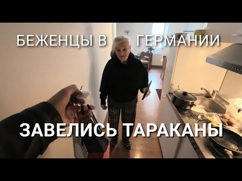 Видео: Мы не смогли привыкнуть к этому в Германии.. Где здравый смысл? Тараканы Сколько стоил ремонт машины