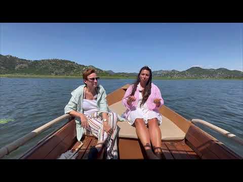 Видео: Речевой и поведенческий негативизм у ребенка с сенсорной или сенсорномоторной алалией