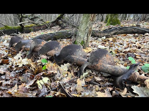 Видео: НА ЭТИХ ПОЛЯХ НИКТО НЕ КОПАЛ! МЕТАЛЛ ЛЕЖИТ СВЕРХУ!