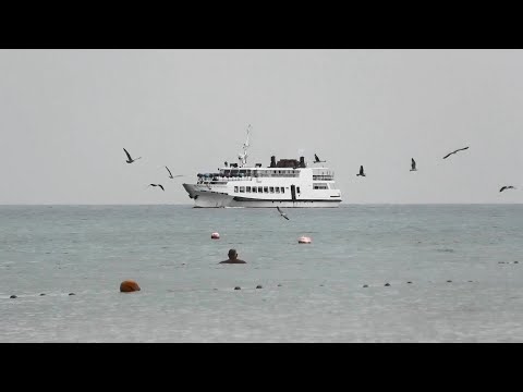 Видео: ВИТЯЗЕВО.  АТАКА В МОРЕ. ТАКОГО МЫ НЕ ОЖИДАЛИ УВИДЕТЬ. ДОРОГА К МОРЮ. ПЕРВЫЕ ВПЕЧАТЛЕНИЯ ОТ ПЛЯЖА.