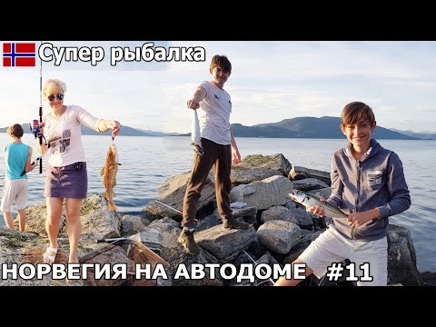 Видео: Супер удачная рыбалка напоследок в Норвегии на Tingvollfjorden. Путешествие на автодоме. #11