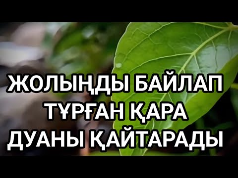 Видео: Жолыңды тазартады қара дуаны қайтарады