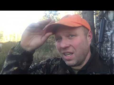 Видео: Охота на лося!!! ДТК вепрь 308на охоте!!!