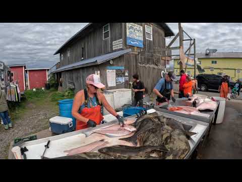 Видео: Посмотрите, как эта дама филетирует рыбу в действии! Эта дама — настоящая машина для чистки рыбы!...