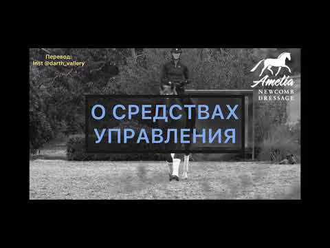 Видео: Средства управления. Повод, шенкель, седалище.