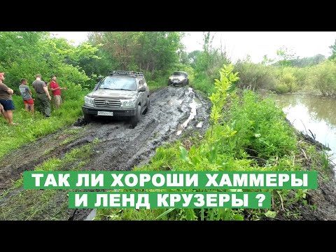 Видео: УАЗ Патриот на 33" Комфорсерах наказывает ЛЕГЕНДЫ ОФФРОУДА в болотине. Экспедиция "Тихий Дон 2019"