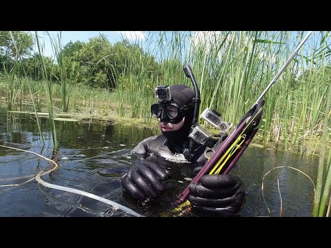 Видео: Подводная охота на малой реке в камышах