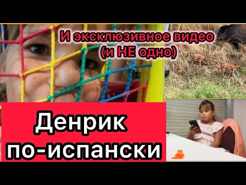 Видео: VLOG День рождения по-испански