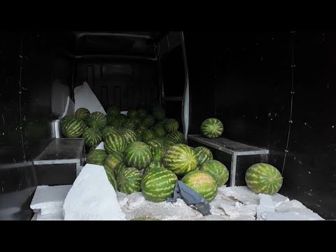 Видео: В Ханты-Мансийске прошел рейд по точкам нелегальной торговли арбузами