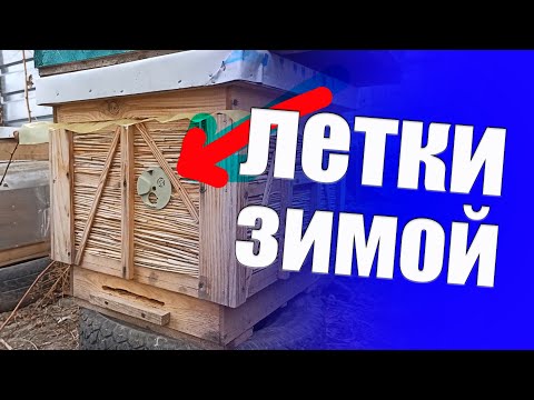 Видео: Какие летки открывать или закрывать в ульях зимой? Как зимовать без сырости в улье