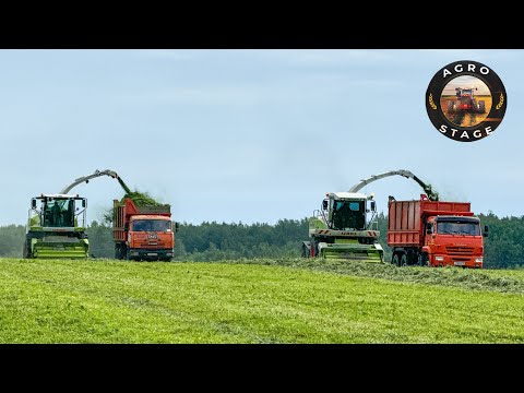 Видео: СЕНАЖ 2024! Масштабная ЗАГОТОВКА сенажа! Два поколения КОМБАЙНОВ Claas Jaguar 870! Много ТЕХНИКИ!