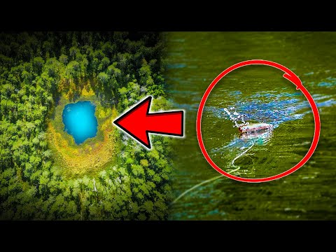 Видео: РЫБАЛКА В ЛЕСНЫХ «ЛУЖАХ» В ДАЛИ ОТ ЦИВИЛИЗАЦИИ - Поклёвки На Поверхностные Приманки| Team Galant