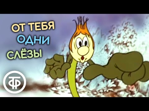 Видео: От тебя одни слезы. Мультфильм (1976)