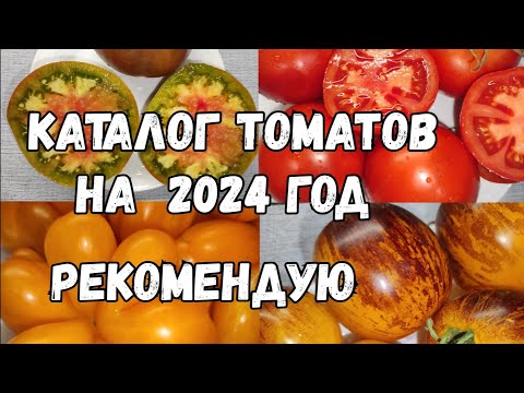 Видео: КАТАЛОГ ТОМАТОВ 2023-2024, Крупноплодные, урожайные, сладкие, томаты посадил и забыл
