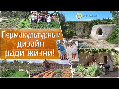 Видео: Пермакультурный дизайн ради жизни!