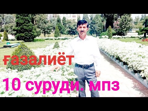 Видео: Сафовуддин Рачабов