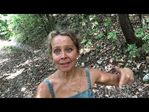 Видео: #сербия ВИДЕО ТОЛЬКО ДЛЯ ЖЕНЩИН ! О сербах - мужчинах.