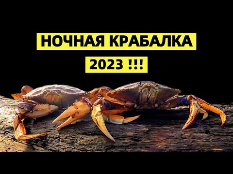 Видео: КТО РАНО ВСТАЁТ -ТОТ КРАБОВ К СТОЛУ ПОДАЁТ. КРАБАЛКА В США. КАК ГОТОВИТЬ КРАБОВ.. ВАРИТЬ ИЛИ ПАРИТЬ?