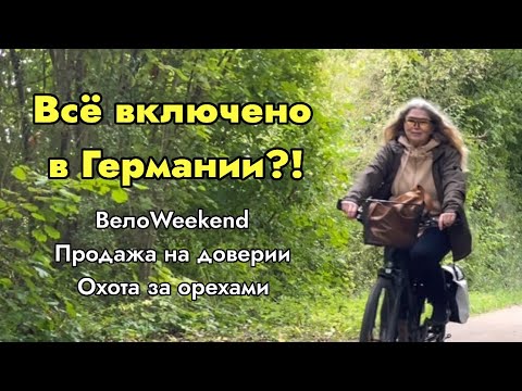 Видео: Воскресная велопрогулка: охота за орехами, древности и обед за 23€