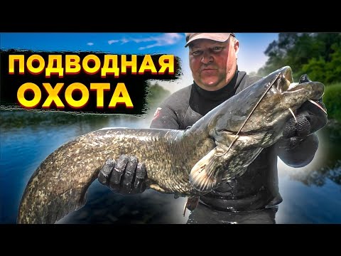 Видео: Бурелом под водой. Подводная охота. Охота на сома