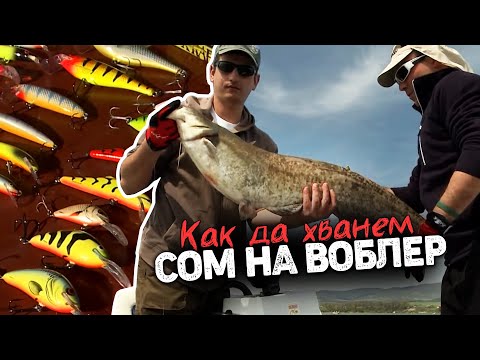 Видео: Как да хванем СОМ на ВОБЛЕР? / Тролинг на яз. "Ивайловград" - 3 част