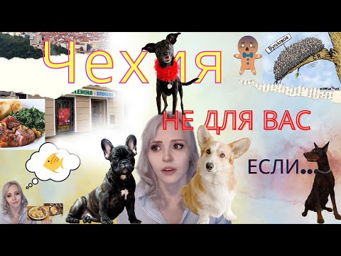 Видео: ЧЕХИЯ НЕ ДЛЯ ВАС, если..