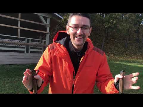 Видео: Шведские палки Bungy Pump.