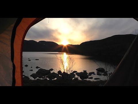 Видео: Кумжа на озере! Рыбалка Кольский полуостров  На вертушку (Blue Foxe) блюфокс.