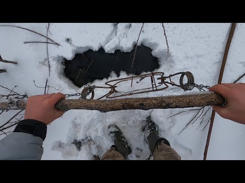 Видео: ОХОТА НА БОБРА!КАПКАНАМИ ЗИМОЙ!
