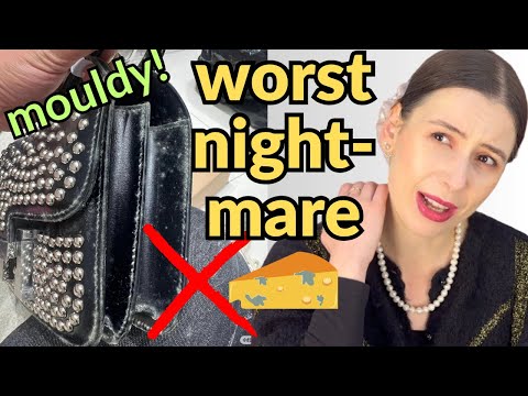 Видео: Не заплесневеют ли мои сумки, если у меня их СЛИШКОМ МНОГО?