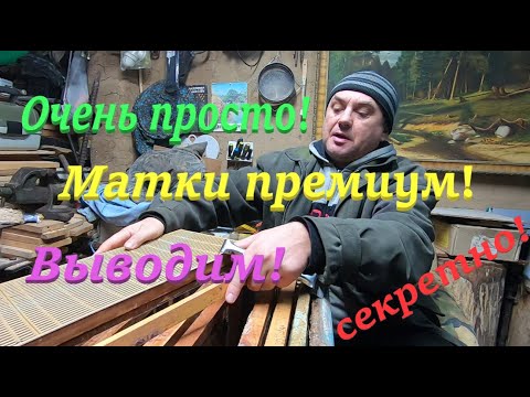 Видео: ✅ МАТКИ ПРЕМИУМ КЛАССА! Об этом вам не раскажет ни один матковод! #пчеловодство1