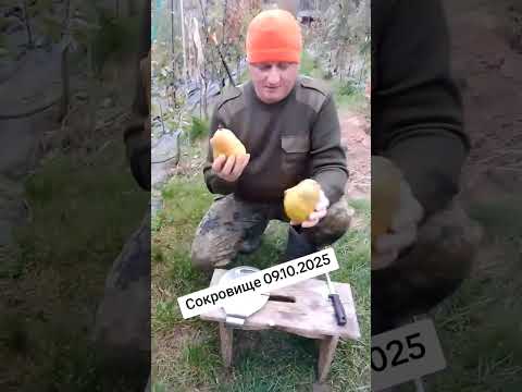 Видео: Название сорта говорит само за себя 