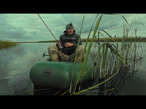 Видео: Пруд кишит мелкой щукой, ловля на воблер TsuYoki HUMP 70F