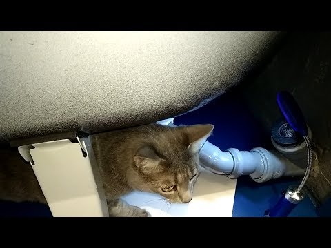 Видео: Как за 3 минуты подключить сифон к канализации без гофры. Долой засоры! Подключаем сифон трубой