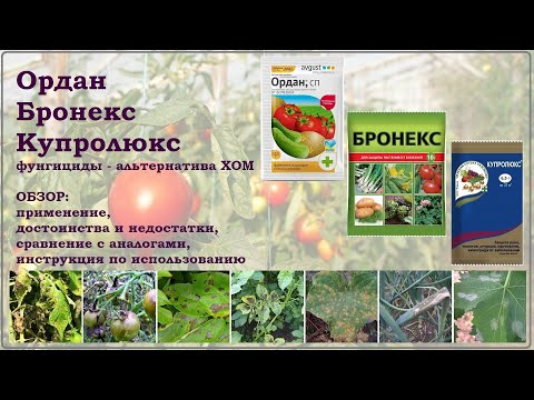 Видео: Ордан, Бронекс, Купролюкс - альтернатива ХОМ и Абига-Пик. Обзор фунгицидов