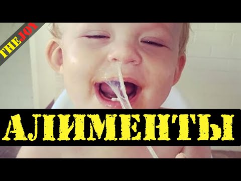 Видео: Алименты