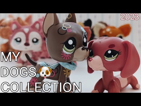 Видео: LPS: Моя коллекция собак 🐶 My LPS collection