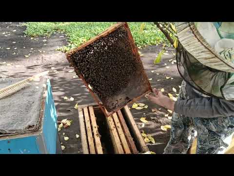Видео: Для перехода  в верхней корпус. 