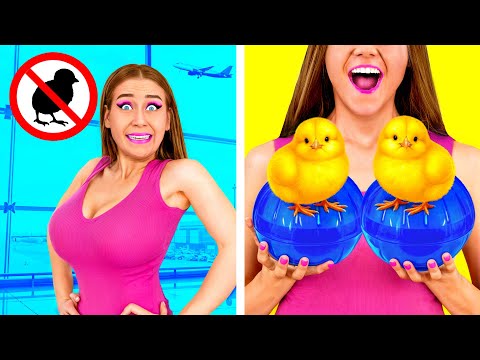 Видео: Как Пронести Домашних Животных в Самолёт | Смешные Моменты от Funny Funny