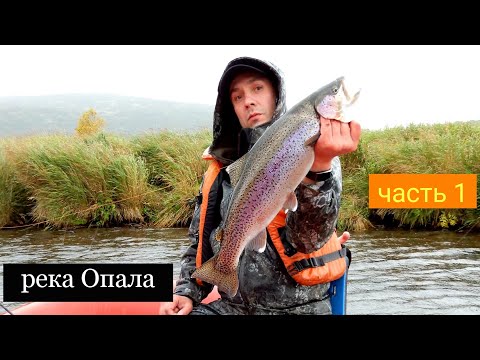 Видео: Камчатка. р.Опала. Часть 1.