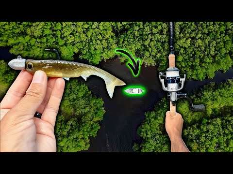 Видео: 48 часов исследования секретных ручьев, кишащих снуками