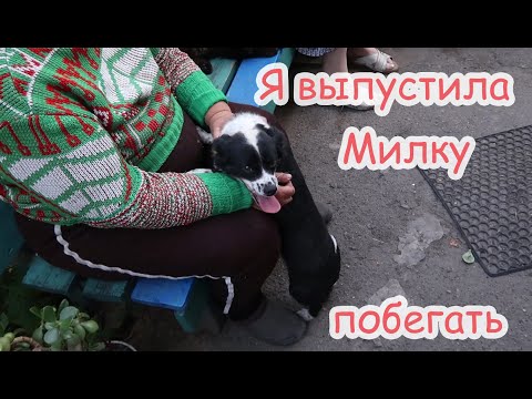 Видео: VLOG Проведали тётю Дину и Костину маму. Решили про балкон.