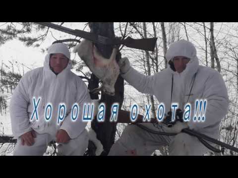 Видео: Как один заяц, показал где лежит другой. Заяц 16 01 2020