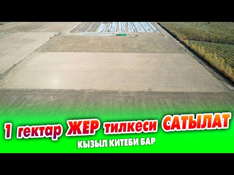 Видео: Кызыл китеби бар 1 гектар ЖЕР тилкеси САТЫЛАТ ~ Суу, свет бар. Айылдын эле четинде