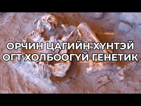 Видео: 7000 жилийн настай Мумминаас юу олов?