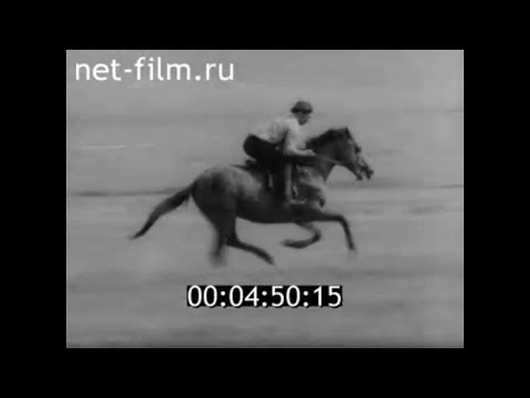 Видео: 1982г. п. Ут Сала. конный завод. директор Куликов Н.П. Калмыкия